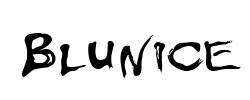BluNice - logo